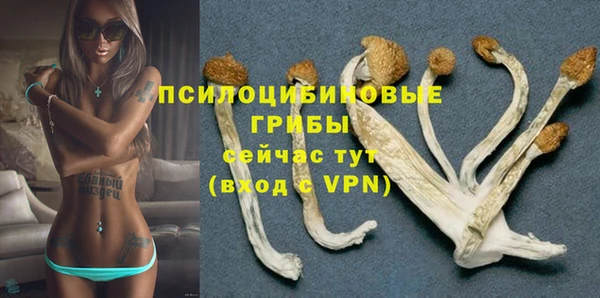 соль ск Алзамай