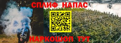 бошки Будённовск
