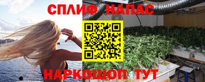 бошки Будённовск