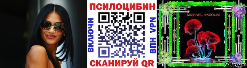 Галлюциногенные грибы мицелий закладки Гуково