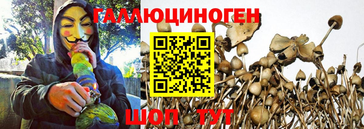 Псилоцибиновые грибы мухоморы Гуково