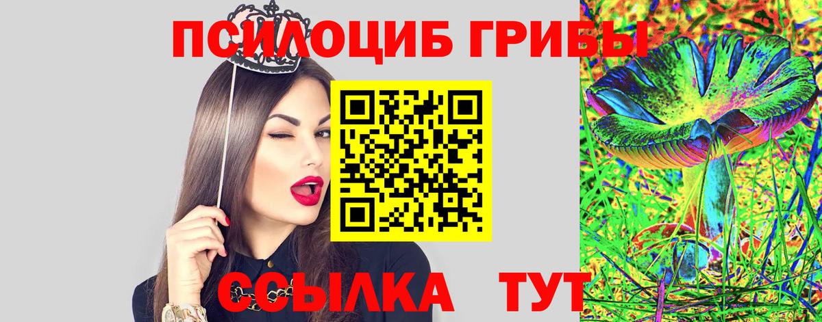 Гуково  Псилоцибиновые грибы мухоморы  Вход с VPN 